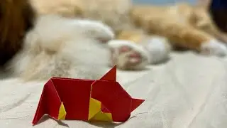 Origami Sleeping Cat by @MagicFolds 