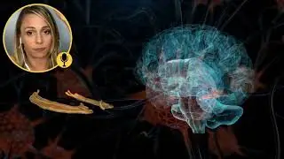 How Our Thoughts Turn To Things