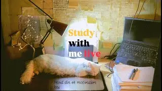 Study With Me Live  | CA Final Preparation | Stay Focused & Consistent