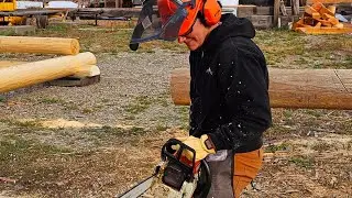Chics with chainsaws. Prepping to build a dry cabin.