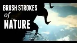 Brush Strokes of Nature - inspired by nature 