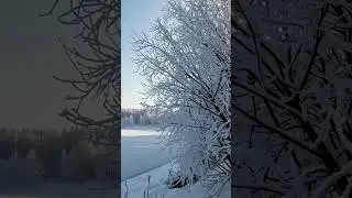 Icy Calm &ndash; Frozen Lake in the Heart of Winter #FrozenLake #WinterCalm #IcyWilderness #nature #4k