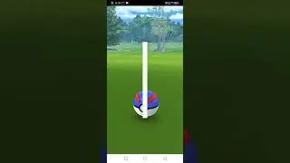 level up to 25 pokemongo