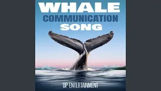 Whale Communication Song