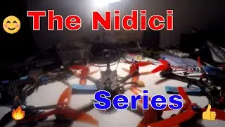 The Nidici Series