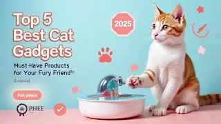 Top 5 Cat Gadgets on Amazon | Best Toys, Feeders & Accessories for Cats