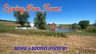 Spring Run Farm: Archive & Bloopers Episode #1