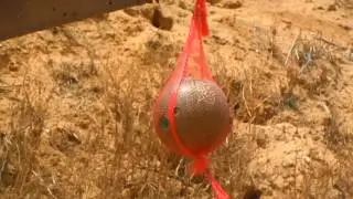 3 fmj and 1 hp .308 caliber bullets against the wood of a bowling ball.