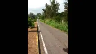 The Magic Zone, Colima Mexico
