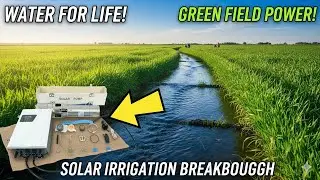 Difful Solar Water Pump Review &ndash; Best Solar Pump for Farm Water Supply | Electricity Free Solution