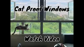 Cat Proof Your Windows Beautifully