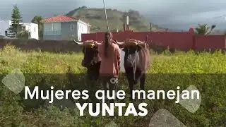 Mujeres en el manejo de yuntas