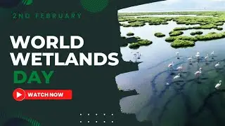 Happy World Wetlands Day 2023 Quotes, Theme, Wishes, SMS to Share(हिन्दी भाषा)