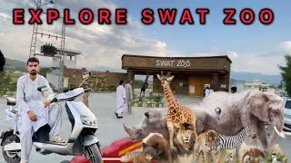 Exploring Swat Zoo | Amazing Wildlife in the Heart of Swat Valley