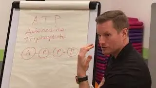 What is ATP? | Storm Fitness Academy
