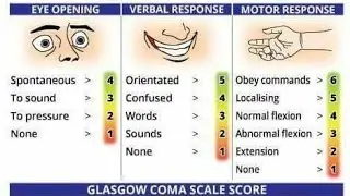Glasgow Coma Scale | Campbell & Trapnell Line | Primary & Secondary Survery