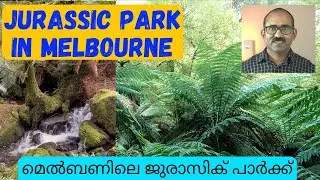 Jurassic Park in Melbourne / Warburton Rainforest Gallery, Australia / മെൽബണിലെ ജുരാസിക് പാർക്ക്