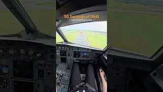30 Seconds of Skill #airbus #aviation#pilot