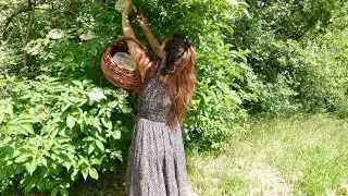 Sunday Recipes and Foraging Books recommendations