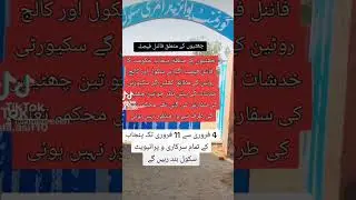 Final decision of Punjab government for holidays on security risk
