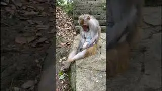 problema sa pera...hahhaha