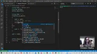 File I/O: search a file for specific input