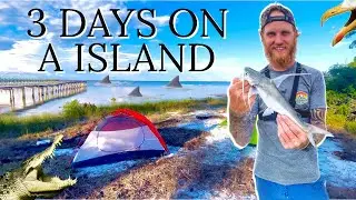 Surviving 3 Days On A Deserted Island