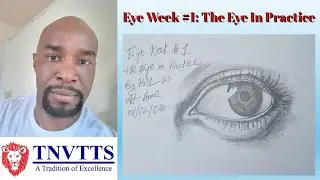 Eye Week #1: The Eye In Practice
