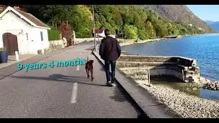 Dobermann 9 years 4 months /  Mayhem Der Biss Von Einherjer