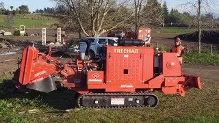 Treehab Stump Grinder