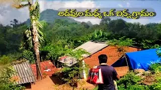 అడవుల మధ్య ఒక చిన్న గ్రామం || girijanabaludusiva || ASR DISTRICT ||