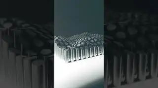 Cryptocurrency's Volatility // Structured Chaos