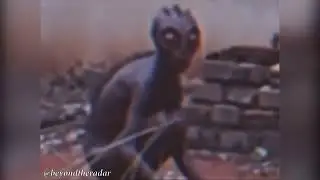 Brazil&rsquo;s 1996 Varginha Creature &mdash; Did This Footage Really Survive?