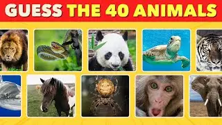 GUESS THE ANIMAL: 40 Easy to Medium Challenges | Fun Quiz Game 2025