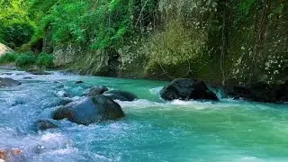 Sleep Better Tonight with Peaceful River Sounds in the Forest Gentle Water Flow Ambience
