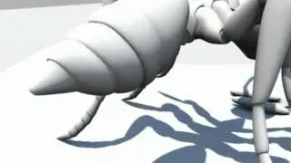 ANT MODELING REEL(sudama sahu's).mpg