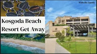Family Getaway එකක් 🏝️ | Kosgoda Beach Resort & Turtle Watching 🐢