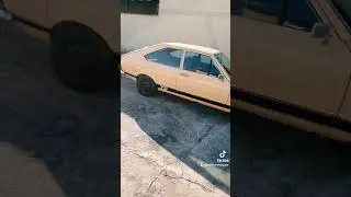 Passat TS 77