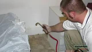 Bed Bug Pest Control Bella Vista Philadelphia | Eliminate Bed Bugs Bella Vista Philadelphia