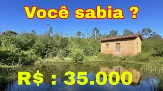 ( Sítio a Venda ) MUITA TERRA - JÁ COM EUCALIPTO PLANTADO E ABUNDÂNCIA DE AGUA 