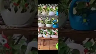 Eco-friendly gardening: Create flower pots from plastic bottles 32 | Stress relief