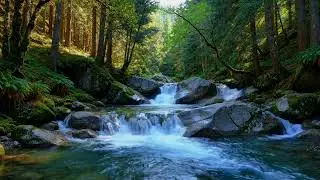 River Sounds to Calm Anxiety and Support Deep Nighttime Relaxation