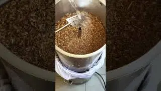 The Crafting Process of Cannabis Beer ~ #homemade