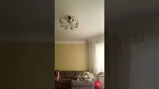 20 июля 2024 г.