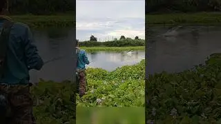 whopper plopper meledak digas monster toman