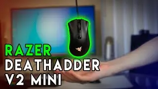 Razer Deathadder V2 Mini Review! Small Ergos!?
