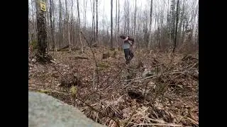 Gathering logs camping