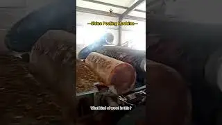 Do you know what kind of wood it is ?