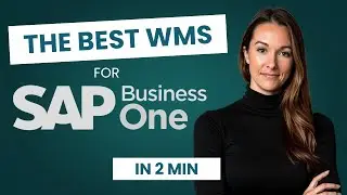 Wisys WMS + AI: The Smartest Way to Run Your Warehouse with SAP Business One