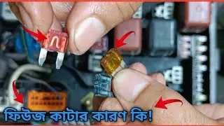 গাড়ির ফিউজ ওয়ারিং সিস্টেম: কাজ, গাড়ির ফিউজ চেক! প্রতিস্থাপন ও সংরক্ষণ পদ্ধতি,Car fuse
